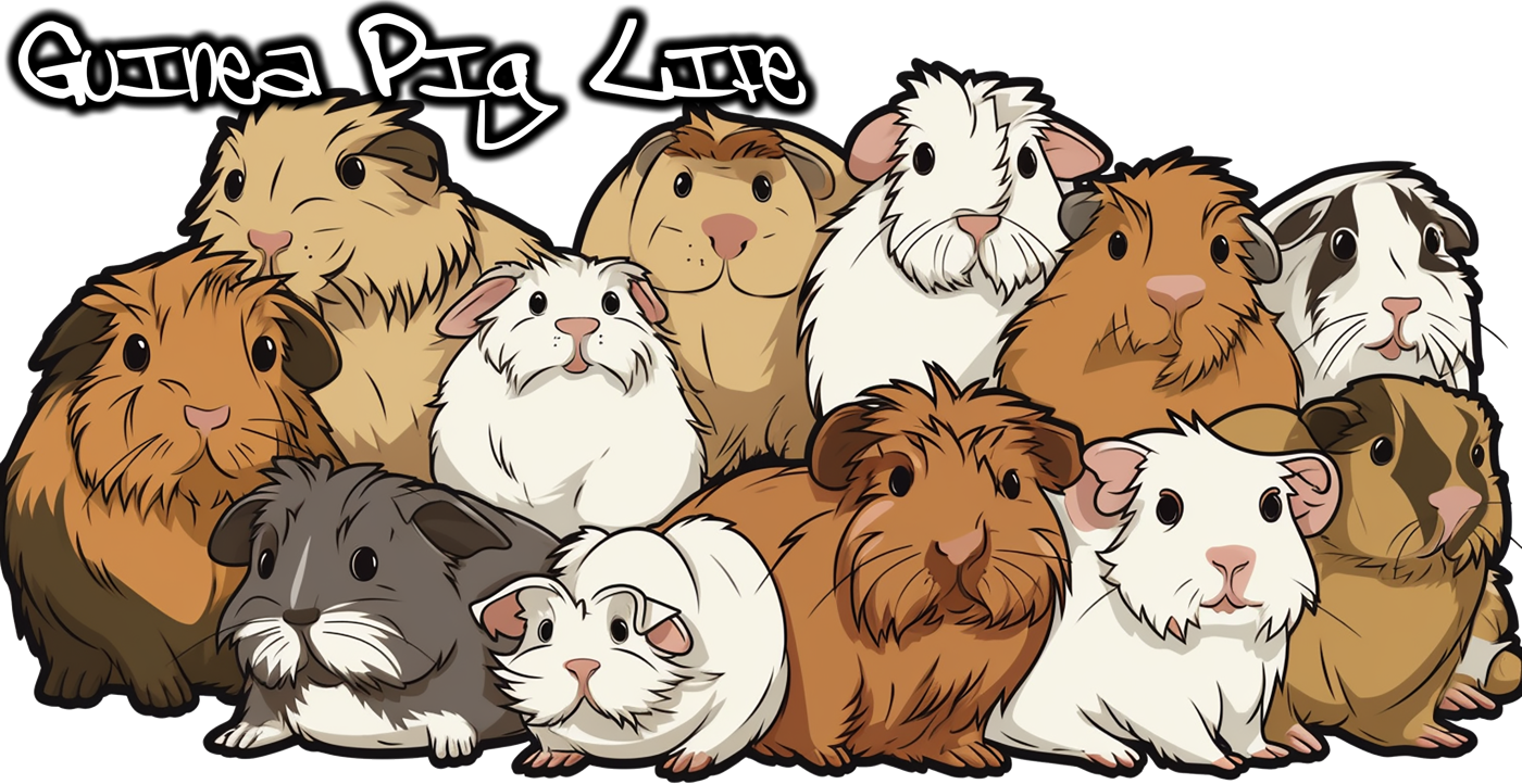 Original CavyCrew guinea pig art design